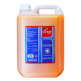 Expert Disinfectant Antiseptic Solution 5 Litre – Salon & Professional Use Antiseptic for Superficial Cuts, Skin Prep & First Aid – Benzalkonium Chloride Formula