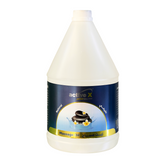 Activex Massage Oil USG – Lightweight, Non-Greasy Massage Oil in Aloe Vera, Fruits, Kiwi, Lavender, Vanilla, and Natural Variants