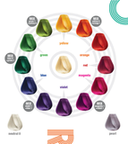 Color Tribe Color Chart :12 vibrant, pigment-rich shades