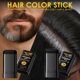 Pilot Hairdressing Wand 20g – Instant Gray Hair Touch Up Stick with Precision Comb Applicator, Water-Resistant Root Cover Up for Black & Dark Brown Hair