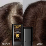 Pilot Hairdressing Wand 20g – Instant Gray Hair Touch Up Stick with Precision Comb Applicator, Water-Resistant Root Cover Up for Black & Dark Brown Hair