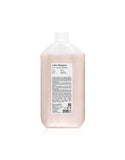 Back Bar Colour Shampoo N°01 - Fig and Almond 5 Lt - Vibrant Hair Color Care